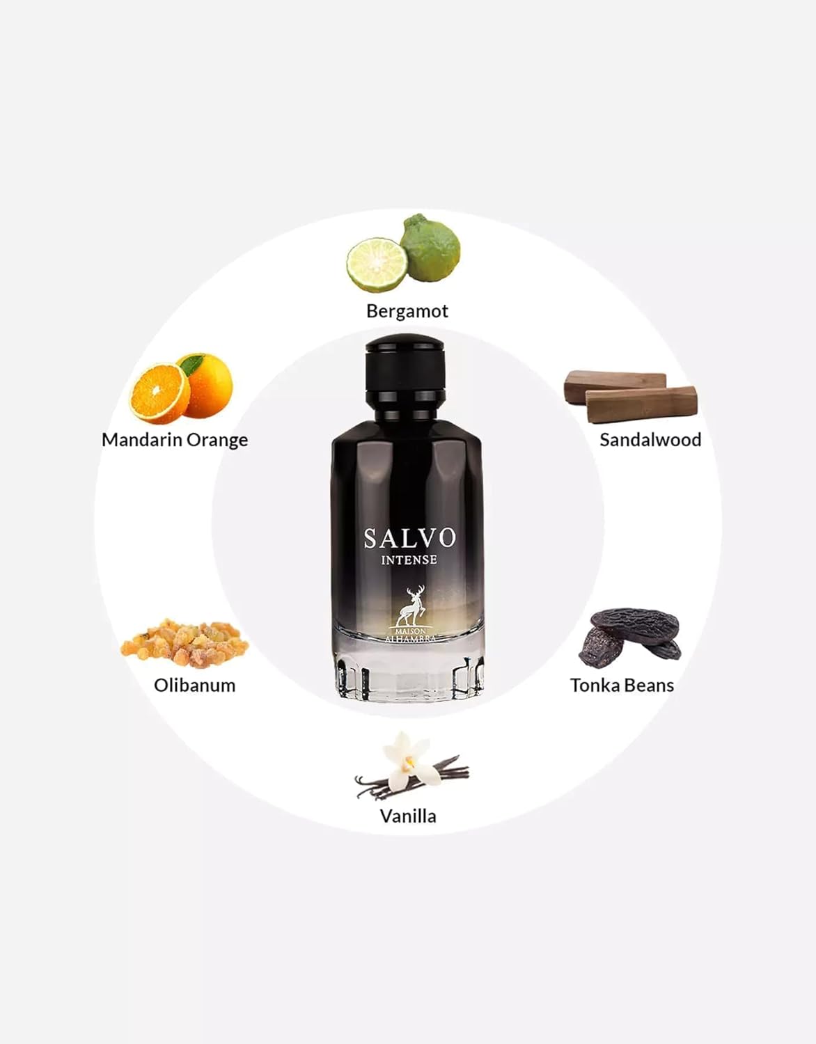 Salvo Intense by Maison Alhambra EDP 100ml