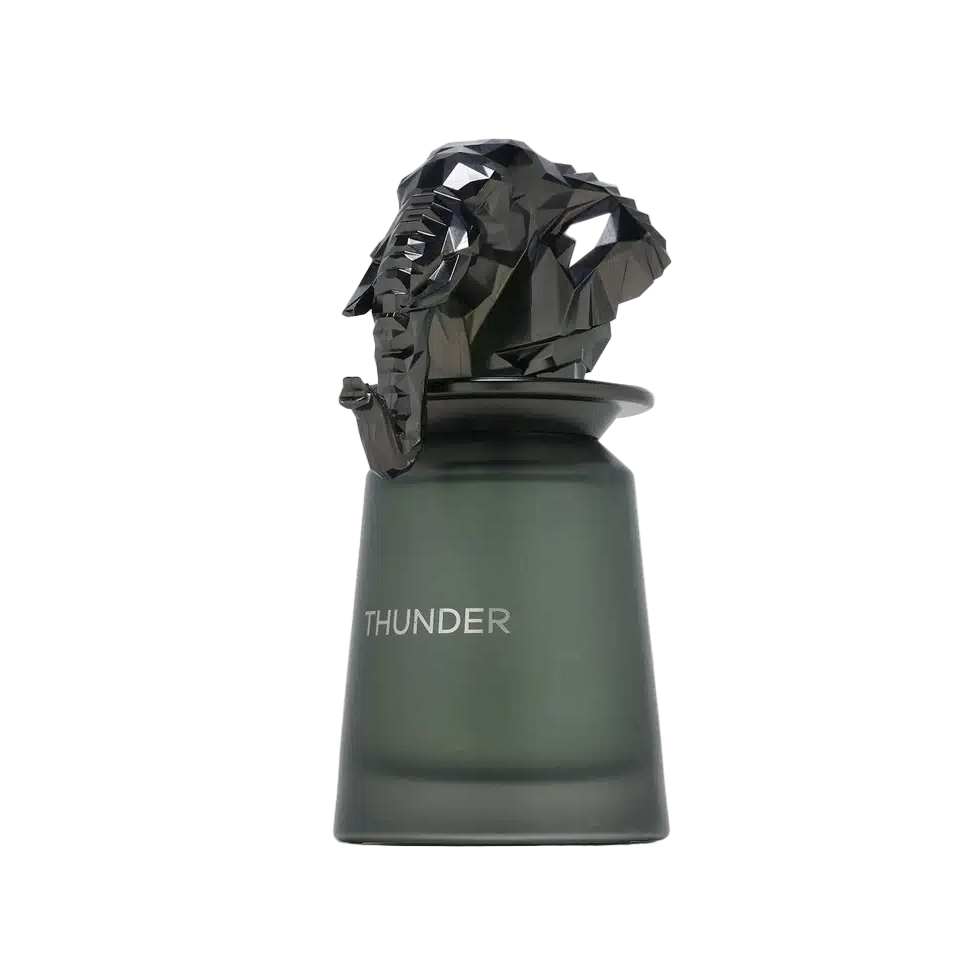 Thunder by French Avenue EDP 100ml